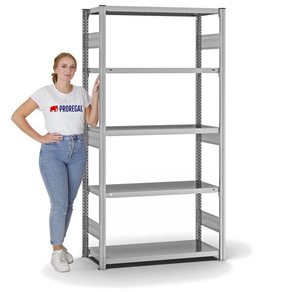PROREGAL Fachbodenregal Stecksystem T-Profil Heavy-Duty Grundregal HxBxT 200 x 100 x 40 cm 5 Ebenen Fachlast 315 kg Beidseitig Nutzbar Verzinkt