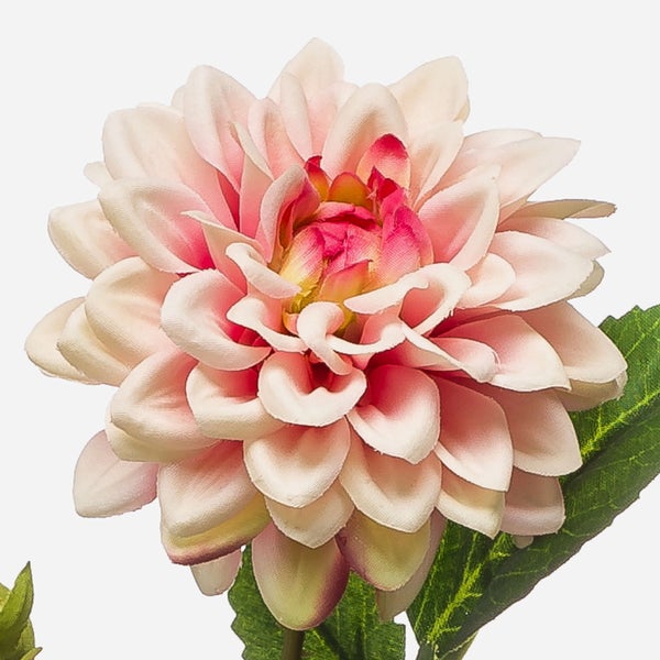 Nahaufnahme eines von Rostpilz befallenen Pflanzenstängels mit gelben Sporenlagern.