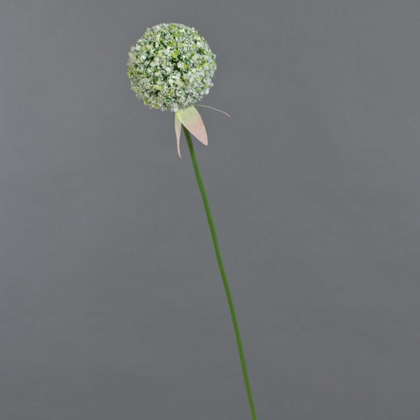Künstlicher Allium mit grün-weißem Blütenkopf und langem Stiel für die Innendekoration.