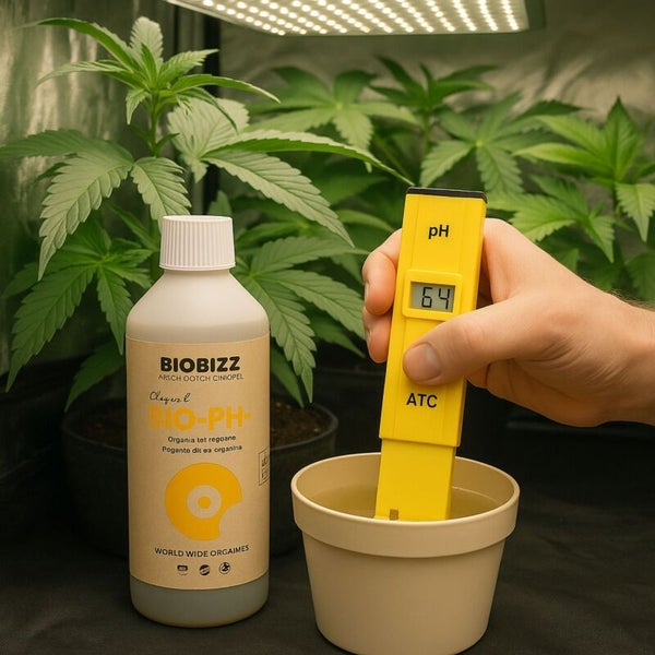 BioBizz Bio-PH+ Flasche neben einem digitalen pH-Wert-Messgerät in Wasser vor Zimmerpflanzen in einem hellen Zuchtzelt.