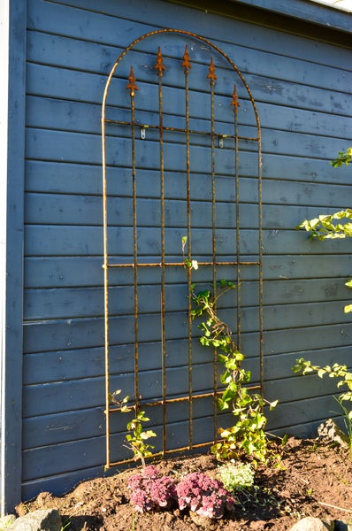 Wandgitter Edera Metall 168,5 x 79 cm unbeschichtet