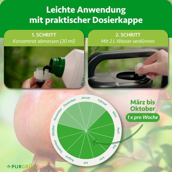 Purgrün Logo. Flüssiger biologischer Granatapfeldünger für innen und außen. Flasche neben lächelndem Gärtner mit Sonnenhut vor einer Hecke.