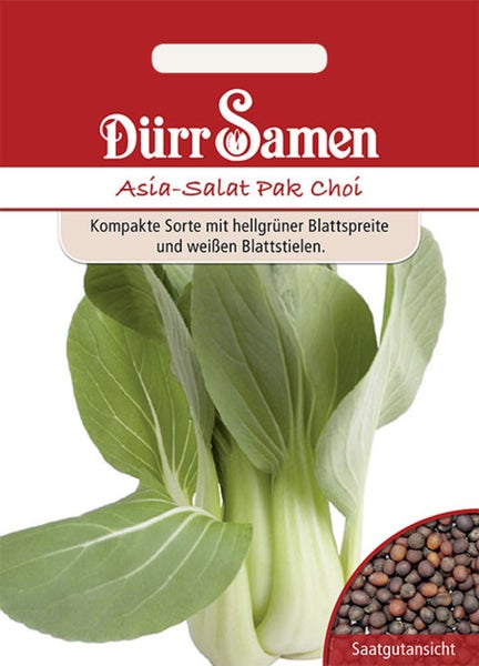 Samentüte Dürr Samen Asia-Salat Pak Choi mit Abbildung der Gemüsepflanze und einer Detailansicht der Samenkörner.