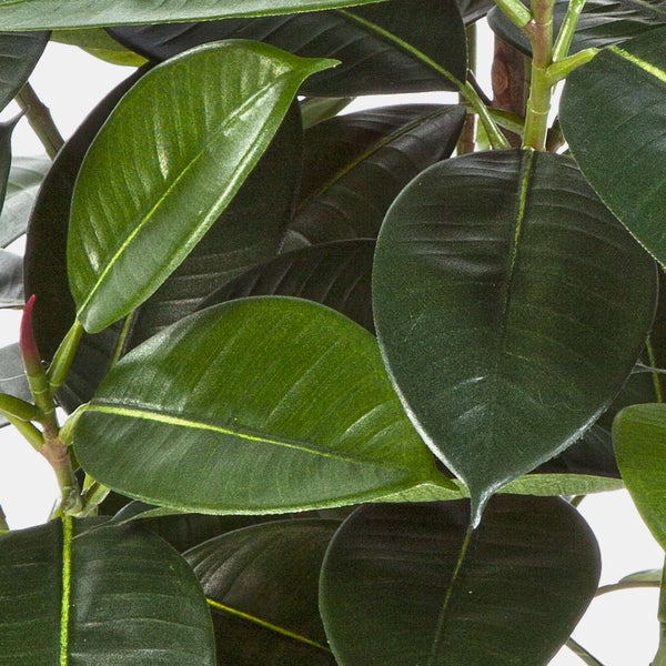 Künstliche Gummibaum-Pflanze Ficus Elastica mit großen glänzenden Blättern in einem schwarzen Topf.