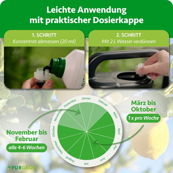Flüssigdünger Anwendung: 20 Milliliter mit 2 Liter Wasser mischen. März bis Oktober wöchentlich, November bis Februar alle 4 bis 6 Wochen.