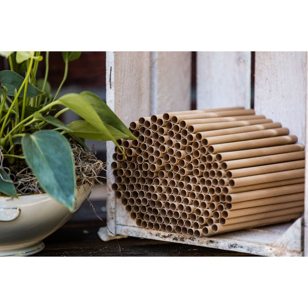 200 Nisthülsen CULT at home Wildbienen Insektenhotel Ø 6 mm - Länge 15 cm – Zubehör Füllmaterial