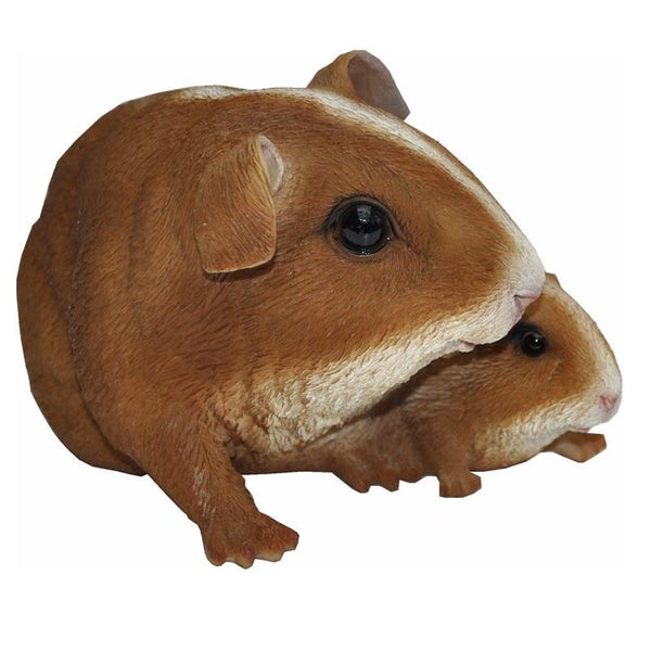 Meerschweinchen Mutter und Kind