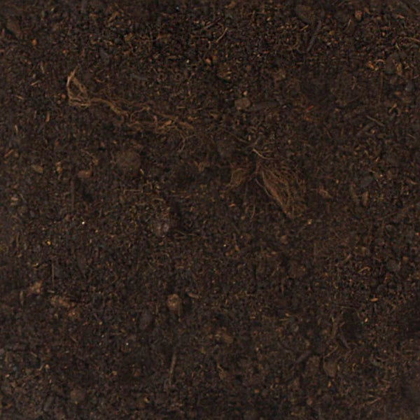 Nahaufnahme von feiner Blumenerde mit sichtbaren organischen Fasern.