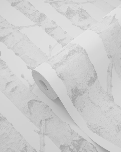 Tapetenrolle mit Birkenbaum-Muster