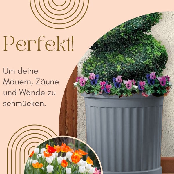 Grauer Pflanzkübel mit Blumen und Grünpflanzen zur Dekoration von Mauern, Zäunen und Wänden