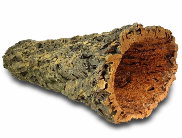 Korkröhre aus Naturkork, Dekorationsartikel für das Terrarium.