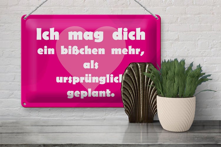 Blechschild Spruch 30x20cm Ich mag Dich (Herz)