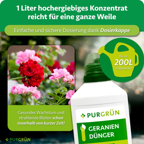Purgrün Geraniendünger Konzentrat 1 Liter Flasche mit Dosierkappe für gesundes Pflanzenwachstum und prächtige Blütenbildung bei Geranien.