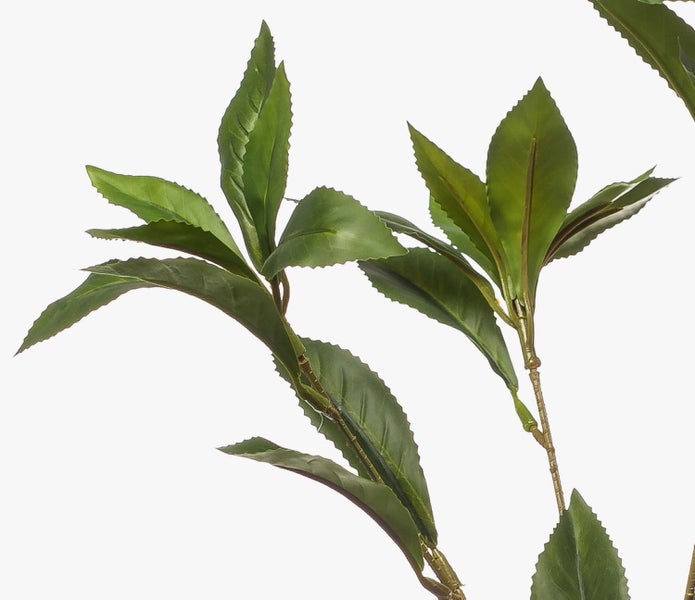 Künstlicher Orchideenzweig Phalaenopsis mit weißen Blüten und grünen Knospen.