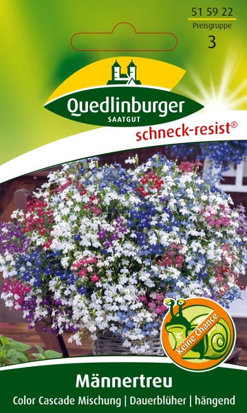 Quedlinburger Saatgut Männertreu Color Cascade Mischung. Schneckenresistente, hängende Dauerblüher mit blauen, weißen und roten Blüten.