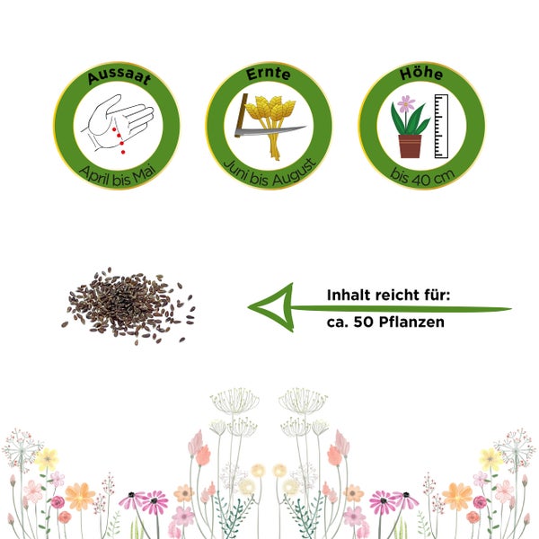 Aussaat von April bis Mai, Ernte von Juni bis August, Wuchshöhe bis 40 Zentimeter, Inhalt reicht für circa 50 Pflanzen.