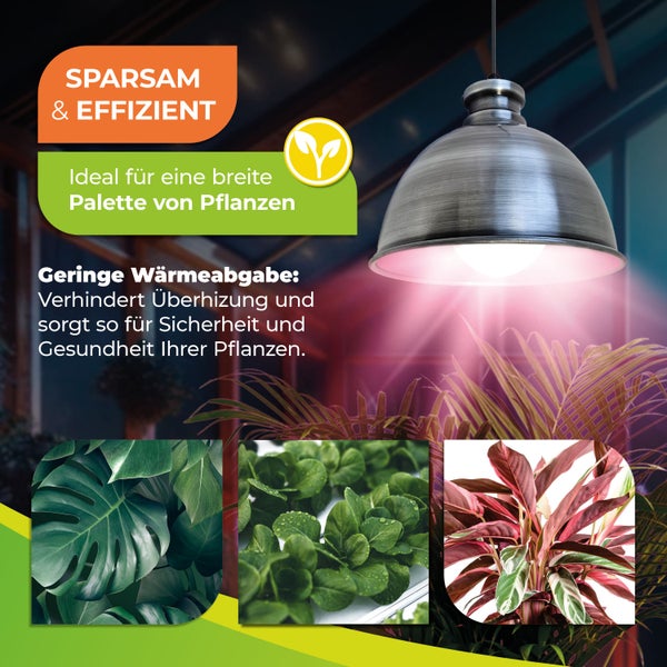 Hängeleuchte für Pflanzen mit metallischem Schirm über verschiedenen Zimmerpflanzen. Das Licht fördert gesundes Wachstum bei geringer Wärmeabgabe.