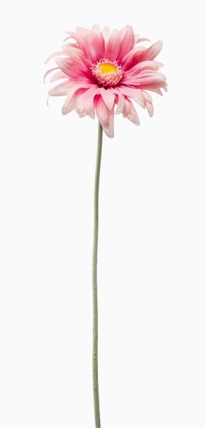 Kunstblume Gerbera BILFON, rosa, 50cm - Künstliche Blume