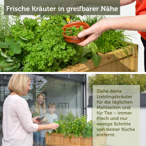 VegTrug Hochbeet aus 100 Prozent Forest Stewardship Council zertifiziertem Zedernholz, empfohlen von der Royal Horticultural Society.