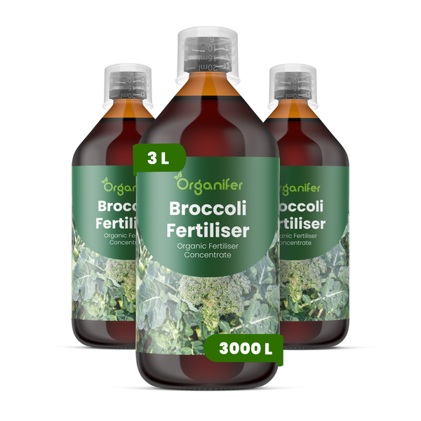 Drei Flaschen Organifer Brokkoli-Dünger, organisches Düngerkonzentrat, Gesamtmenge 3 Liter.