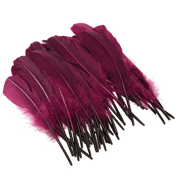 Stapel Federn für Bastelarbeiten