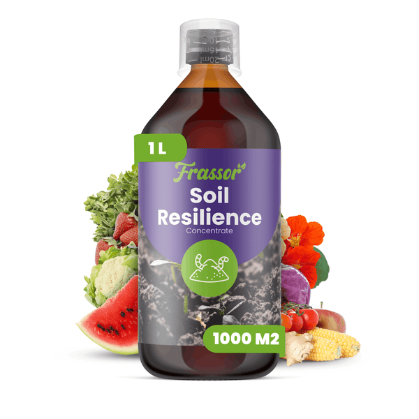 Frassor Soil Resilience Konzentrat, 1 Liter Flasche für 1000 Quadratmeter, zur Bodenverbesserung für Obst, Gemüse und Blumen.