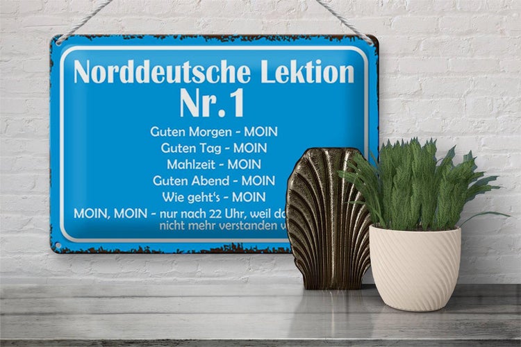 Blechschild Spruch 30x20cm Norddeutsche Lektion Nr. 1 MOIN