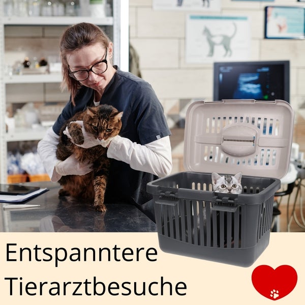 Transportbox Oben Öffnen Hunde Katzen Kleintier Transport Box Katzenbox Hundebox Open Top Stressfrei Dachöffnung