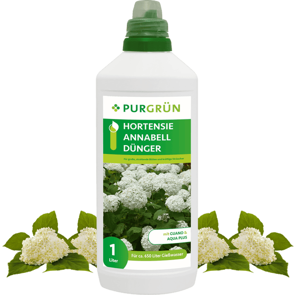 Purgrün Hortensie-Annabell-Dünger 1 Liter