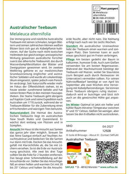 SAFLAX Garden to go - Australischer Teebaum - Melaleuca alternifolia - 400 Samen - Mit Topf, Klima - Deckel und Anzuchtsubstrat