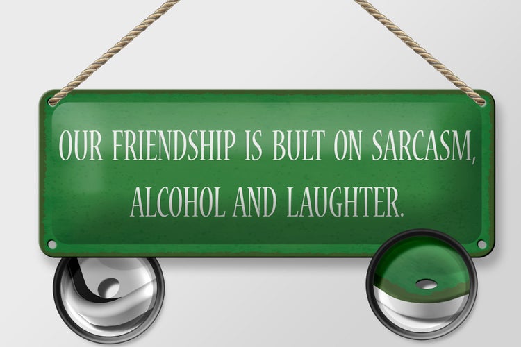 Blechschild Spruch 27x10cm our friendship is bult sarcasm Dekoration