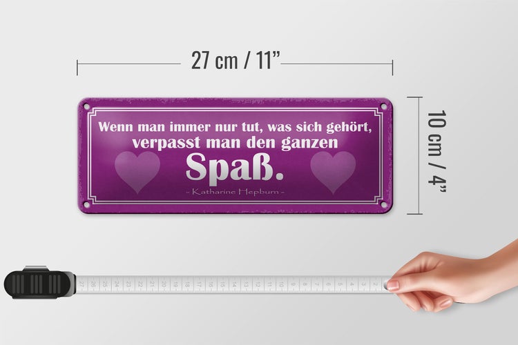 Blechschild Spruch 27x10cm tun was sich gehört kein Spaß Dekoration