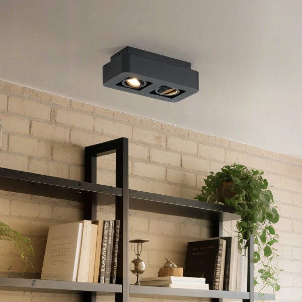 Deckenleuchte mit zwei Strahlern über Bücherregal
