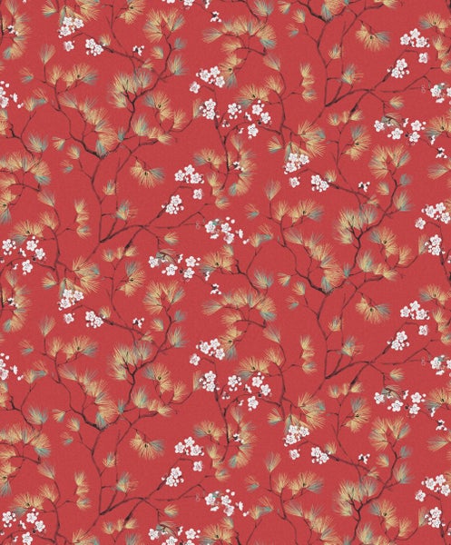 Nahaufnahme einer Pflanze mit Blättern