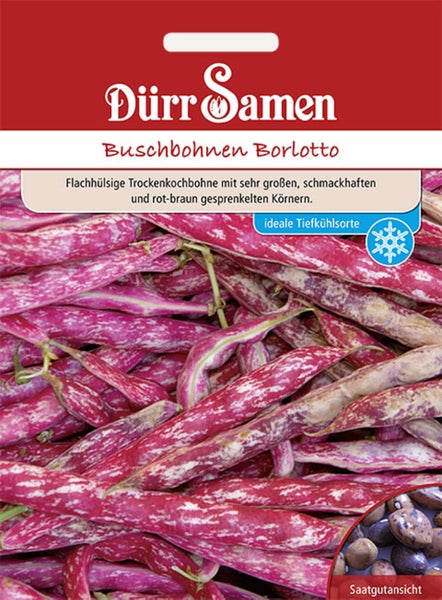 Samentüte für Buschbohnen Borlotto von Dürr Samen mit Abbildung der gesprenkelten Hülsen und getrockneten Bohnenkerne.