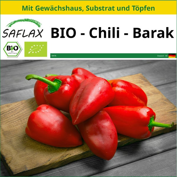 SAFLAX Anzucht Set - BIO - Chili - Barak - Capsicum annuum - 15 Samen - Mit Mini-Gewächshaus, Anzuchtsubstrat und 2 Töpfen