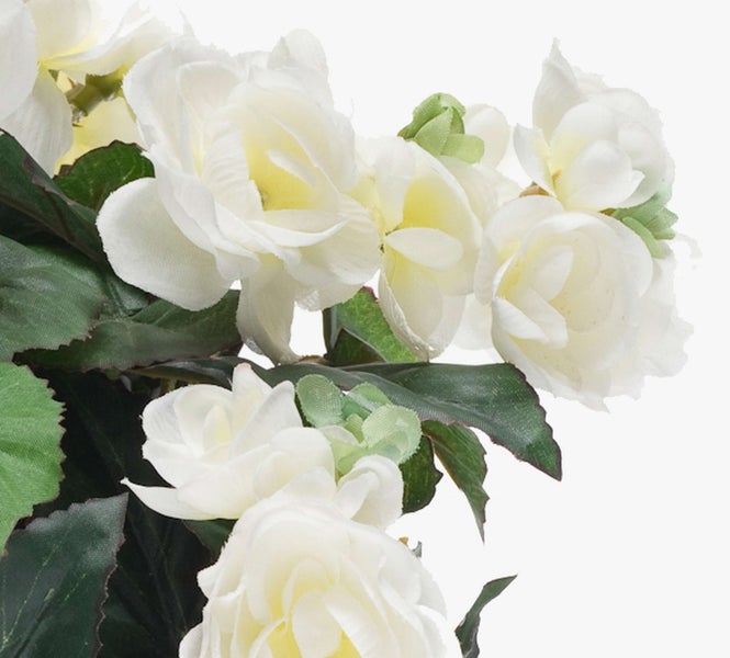 Künstliche Begonie mit weißen Blüten und grünen Blättern.