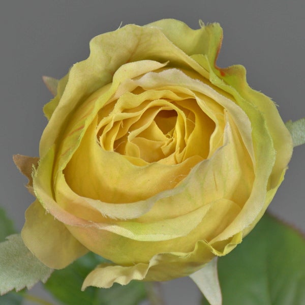 Detailansicht eines künstlichen braunen Rosenstiels mit grünen Blättern und Dornen aus Kunststoff.