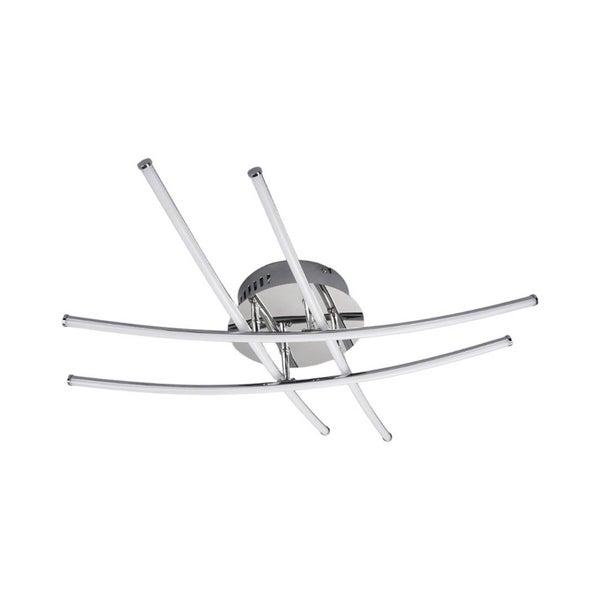 Mehrere Yucca rostrata Pflanzen mit schmalen, blaugrünen Blättern in schwarzen Töpfen in einem hellen Gewächshaus.