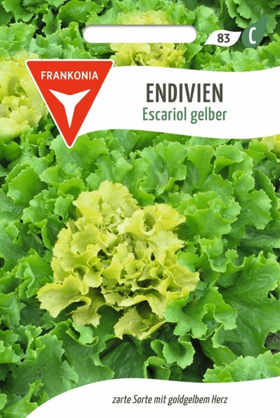 Endivien Escariol gelber Samenpackung
