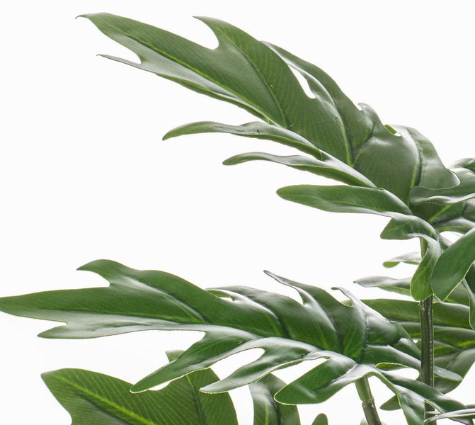 Künstliche Pflanze mit tief geschlitzten grünen Blättern.