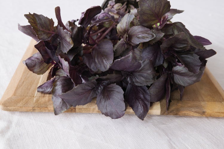 SAFLAX Garden in the bag - BIO - Rotes Basilikum - Ocimum basilicum - 400 Samen - Mit Anzuchtsubstrat im praktischen, selbst aufstellenden Beutel