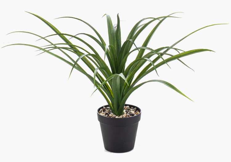 Künstliche Grünpflanze mit langen schmalen Blättern in einem schwarzen Topf mit Ziersteinen