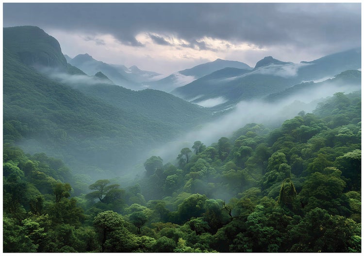 Landschaftsbild mit bewaldeten Bergen und Nebel