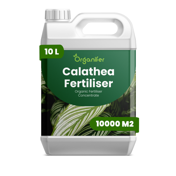Organifer Calathea Dünger Konzentrat, organischer Dünger für Calathea, 10 Liter Kanister, reicht für 10000 Quadratmeter.
