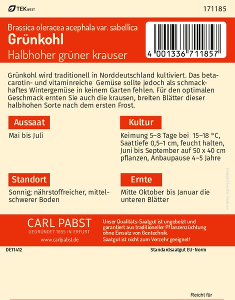 Rückseite der Saatgutpackung Grünkohl Halbhoher grüner krauser mit Anbau- und Erntehinweisen sowie Carl Pabst Logo.