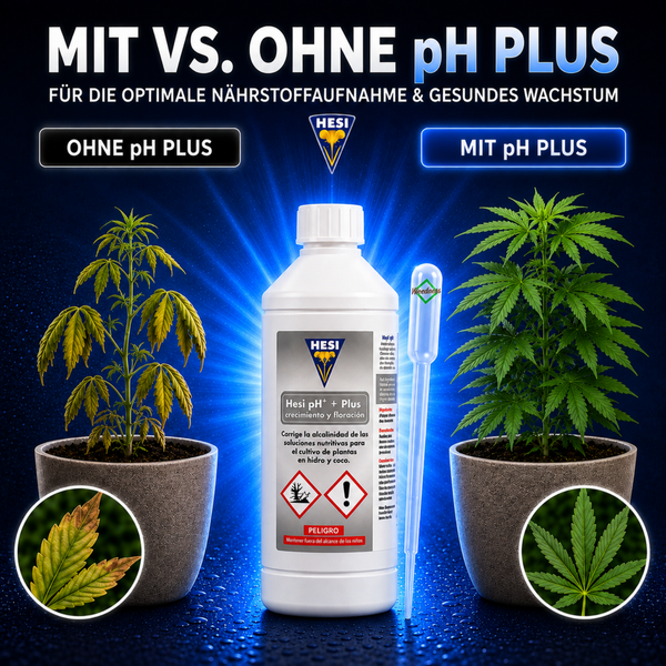 Hesi pH Plus Flasche mit Pipette und Vergleich von zwei Pflanzen für optimale Nährstoffaufnahme und gesundes Wachstum.