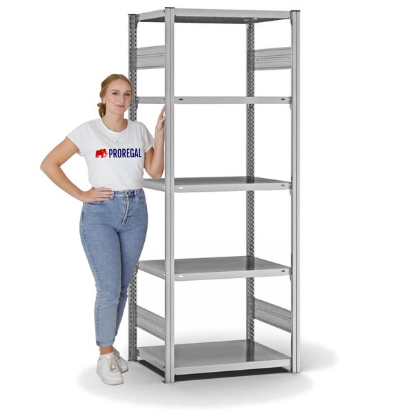 PROREGAL Fachbodenregal Stecksystem T-Profil Light-Duty Grundregal HxBxT 200 x 75 x 50 cm 5 Ebenen Fachlast 140 kg Beidseitig Nutzbar Verzinkt