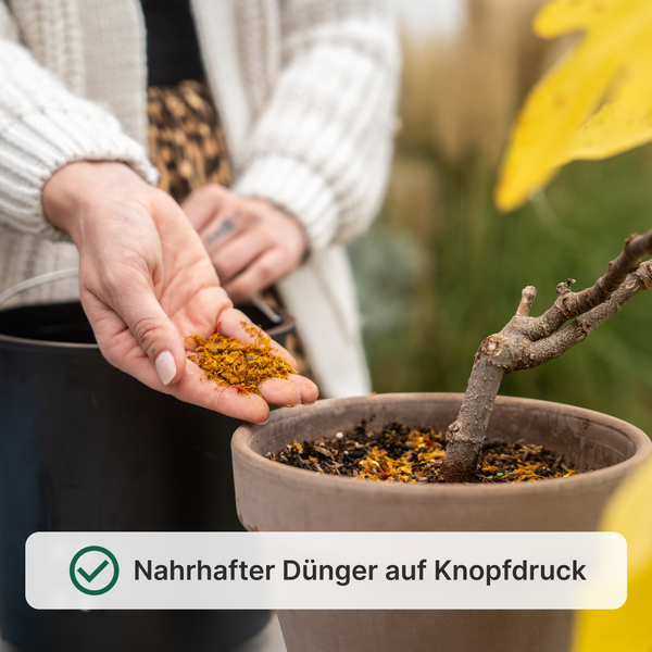 WeEarth Elektrischer Küchenkomposter (Schwarz)
