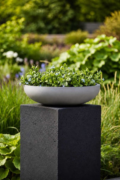 Graue Pflanzschale in Steinoptik mit Pflanzen auf einem dunklen quadratischen Sockel in einer Gartenlandschaft.